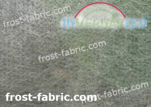 crops protected with horticulture netting