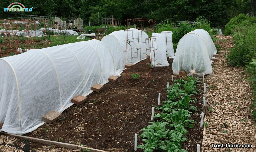 micro tunnels installed in a small garden