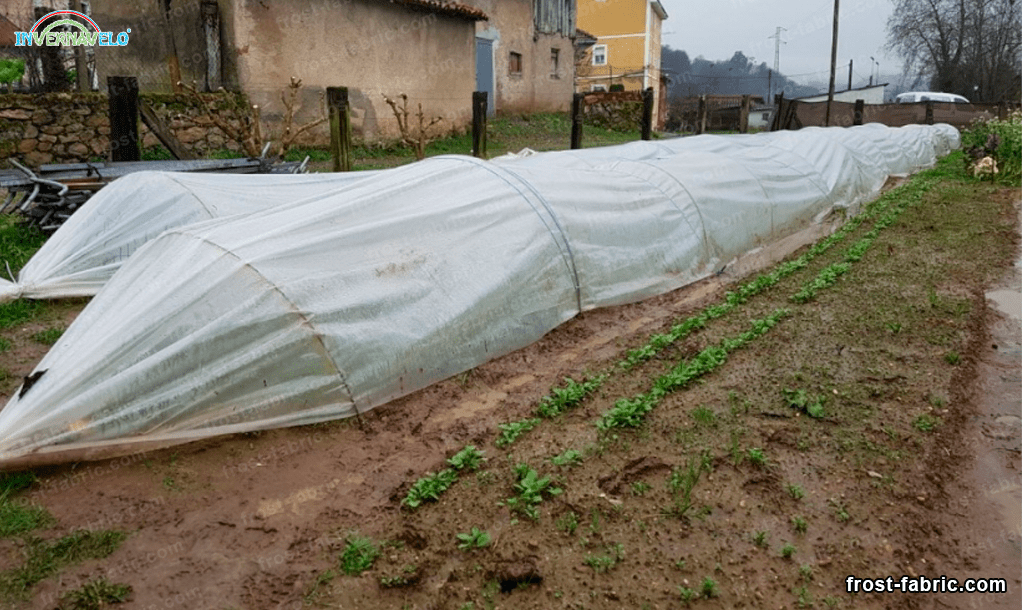 microtunnel with thermal blanket in a garden 